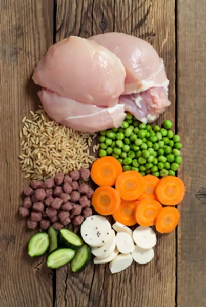 Balanced homemade dog food ingredients
