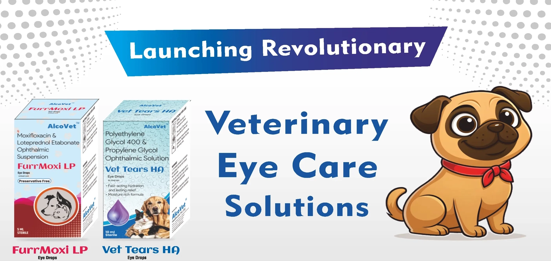 Eye Care Therapy Protocols for Companion Animals