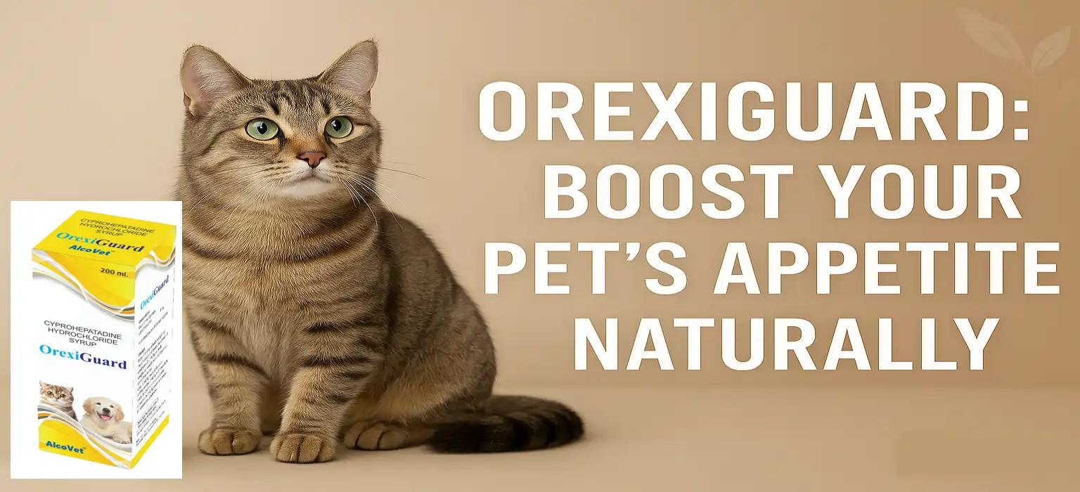 OrexiGuard appetite stimulant syrup for dogs and cats