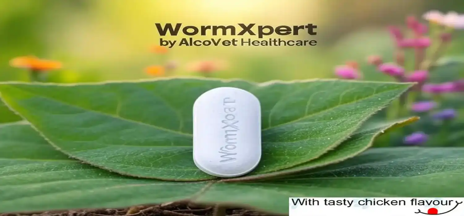 WormXpert deworming tablet for adult dogs